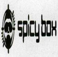 logo Spicy Box